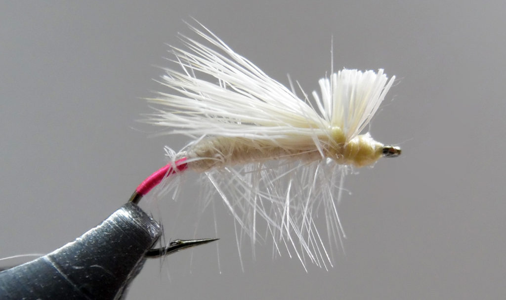 Elk Hair Caddis (Lt) - Missouri Trout Fisherman's Association ...