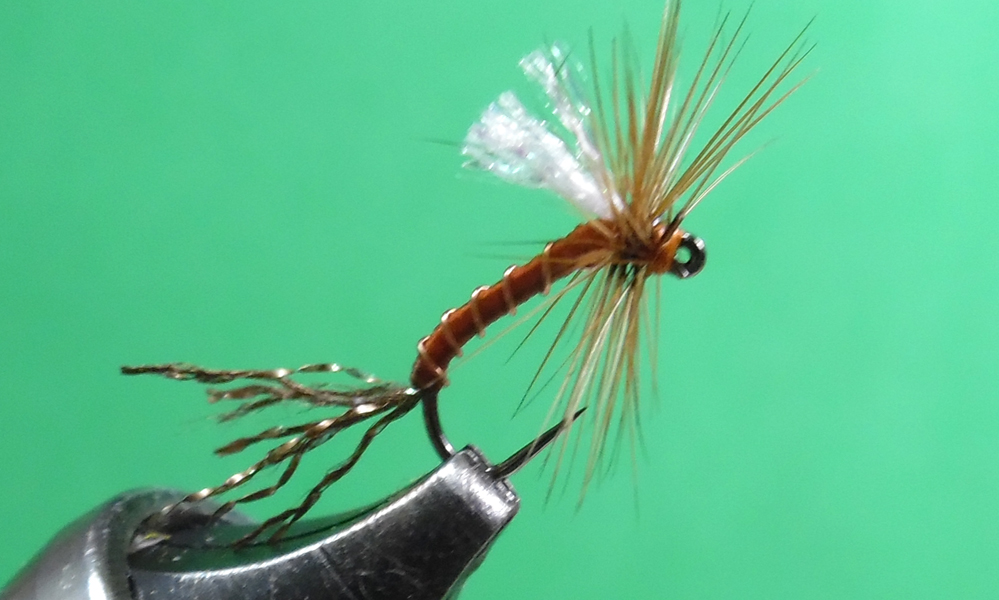 https://www.mtfa-springfield.org/wp-content/uploads/2017/12/Root-Beer-Dry-Fly-Emerger.jpg